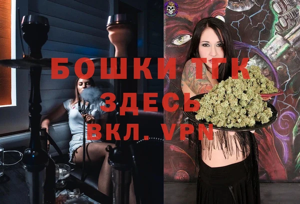 прущие грибы Верея