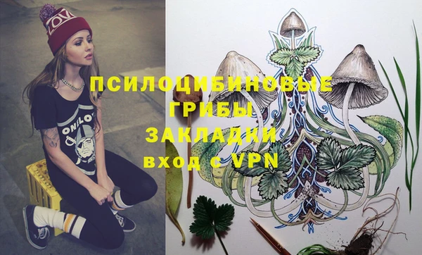 прущие грибы Верея
