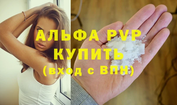 прущие грибы Верея
