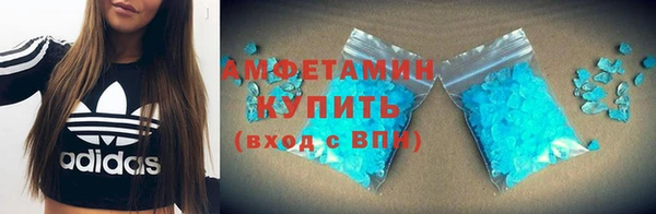 прущие грибы Верея