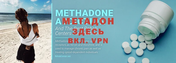 прущие грибы Верея