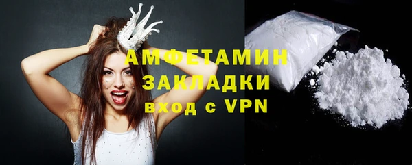 прущие грибы Верея