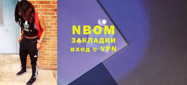 прущие грибы Верея