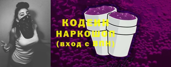 прущие грибы Верея