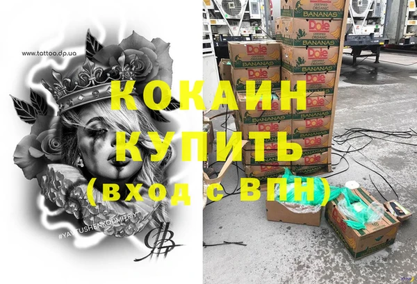 прущие грибы Верея