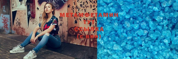 прущие грибы Верея