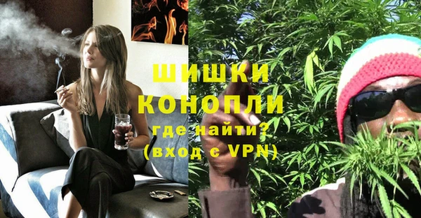мдпв Верхний Тагил