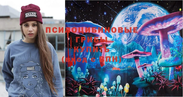 мдпв Верхний Тагил