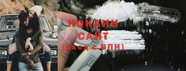 прущие грибы Верея