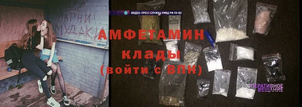 прущие грибы Верея