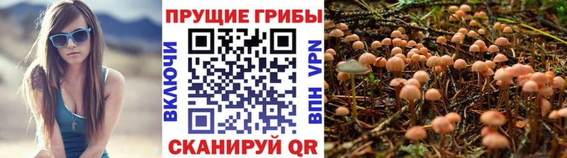 Купить закладки  Белогорск  Галлюциногенные грибы Psilocybe 