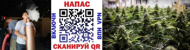 Бошки Шишки индика Белогорск
